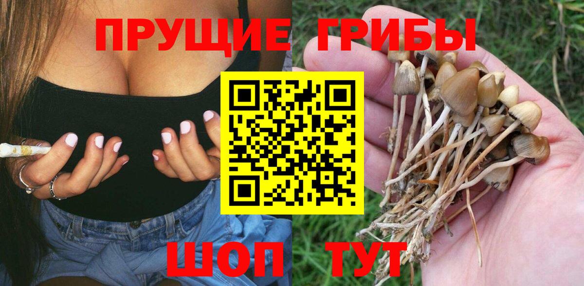 Галлюциногенные грибы мухоморы  Псилоцибиновые грибы Psilocybine cubensis  Вход с VPN  Асбест 