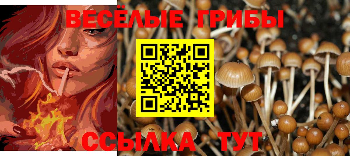 Галлюциногенные грибы мицелий Асбест